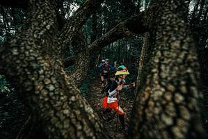 BIB: 
                            <button type="button" onclick="openModal(25685541)" class="btn btn-primary btn-sm float-right btn-popup" data-toggle="modal" data-target=".modal-high-quality">
                        <i class="fas fa-shopping-cart"></i> Add to Cart
                    </button>
                                            <button type="button" onclick="isThisMe(25685541, true)" class="btn btn-success btn-sm float-right btn-popup btn-isme hidden" data-toggle="tooltip" data-placement="bottom" title="นี่คือรูปของคุณใช่ไหม คลิกที่นี่เพื่อเอาเข้าอัลบั้ม">
                        <i class="fas fa-plus"></i> Add to album
                    </button>
                    <button type="button" onclick="isThisMe(25685541, false)" class="btn btn-warning btn-sm float-right btn-popup btn-isnotme hidden">
                        <i class="fas fa-ban"></i> Remove from album
                    </button>